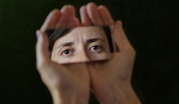 Metamorfoza ptaków stopklatka